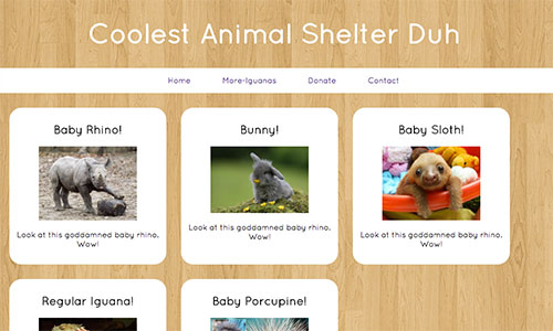 Animal Shelter Website